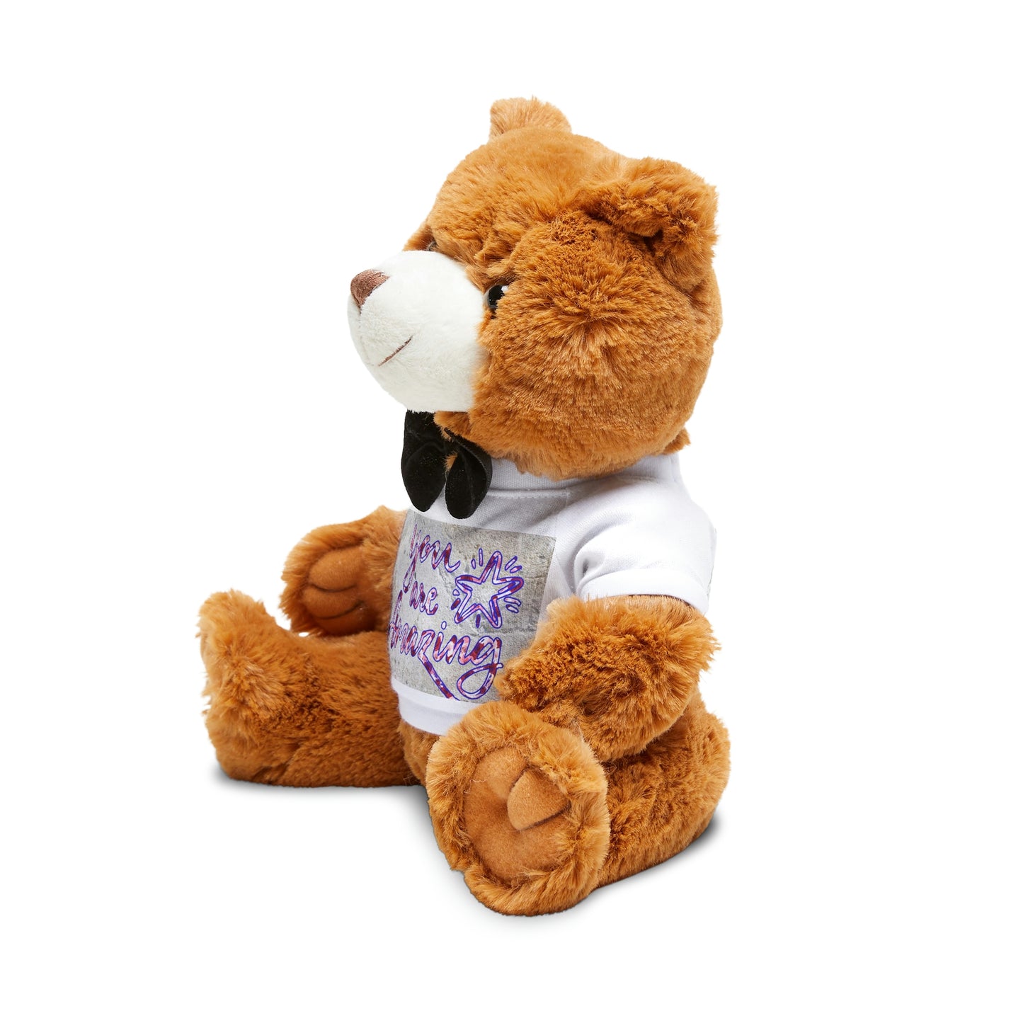 Teddy Bear with T-Shirt