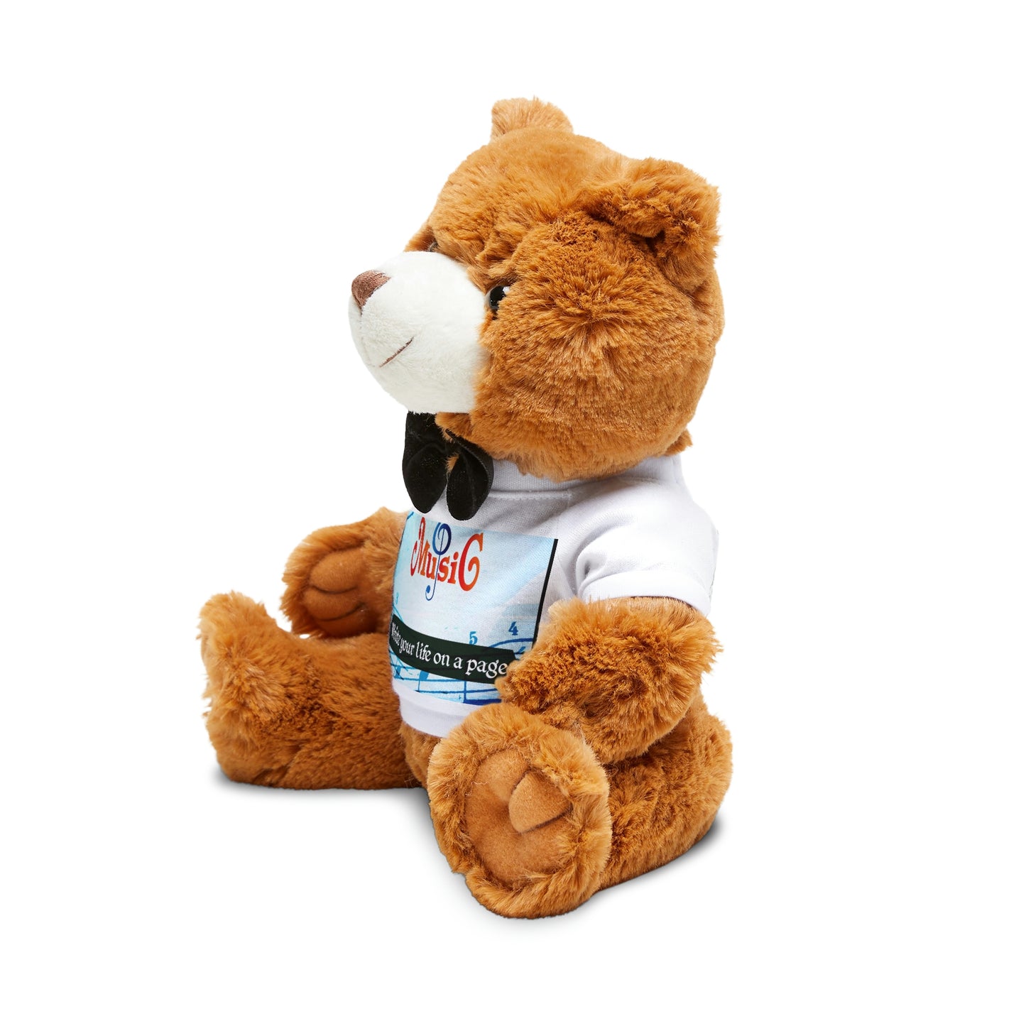 Teddy Bear with T-Shirt